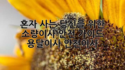 📦 혼자 사는 당신을 위한 소량이사 안전 가이드! #용달이사 #안전이사